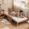 Ghế Sofa Bed, Sofa Giường Gỗ Nhỏ Gọn – Hiện Đại TTG VSG14